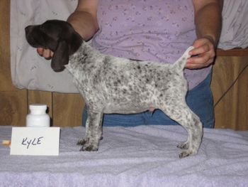 6 weeks old
