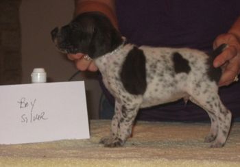 4 weeks old
