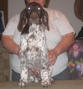 11 weeks old
