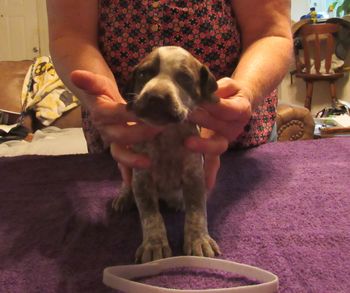 4 weeks old
