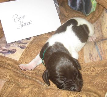 6 days old
