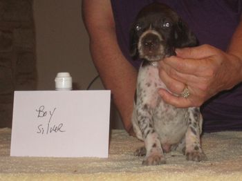 4 weeks old
