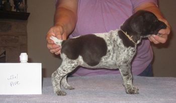 4 weeks old
