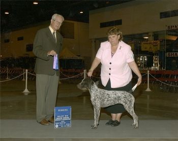 July 19, 2012 Gulf Coast German Shorthaired Pointer Club 5 pt Major under Judge Mr Allan E Pepper
