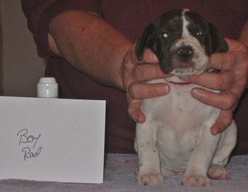 3 weeks old
