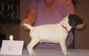 4 weeks old
