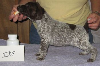 4 weeks old

