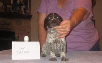 4 weeks old

