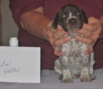 3 weeks old
