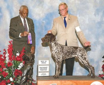 First Point at 7 months old. Harley is being owner/handled.
