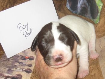 6 days old
