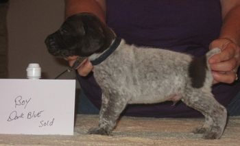 4 weeks old
