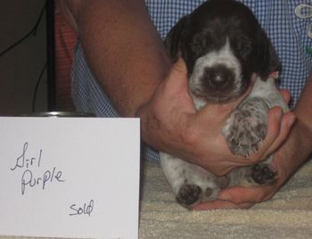 3 weeks old

