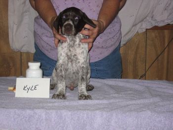 6 weeks old
