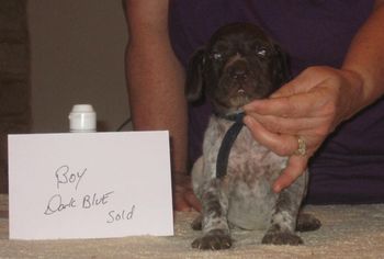 4 weeks old
