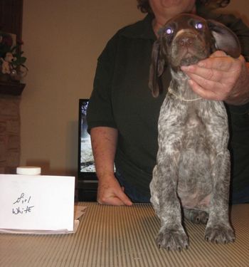 8 weeks old

