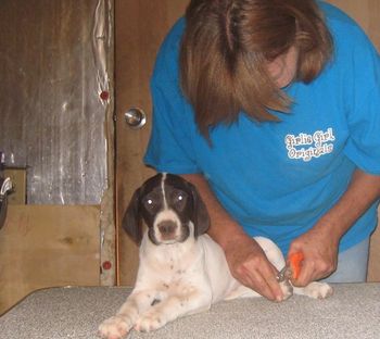 8 weeks old
