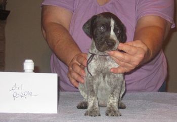 4 weeks old
