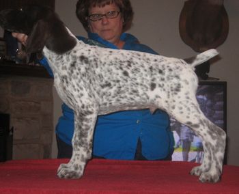 10 weeks old
