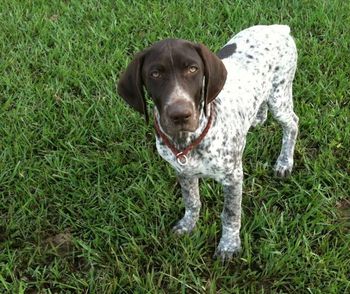 Looking cute at 4 mos old
