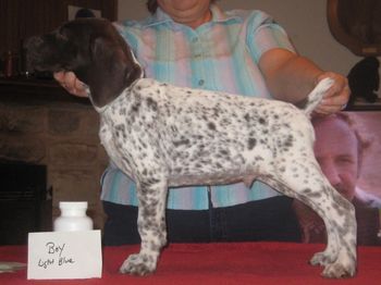 8 weeks old
