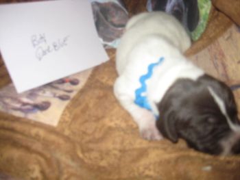 6 days old
