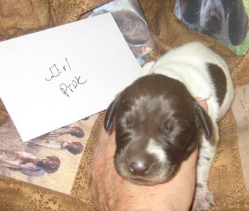 6 Days old

