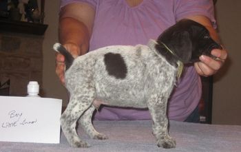 4 weeks old
