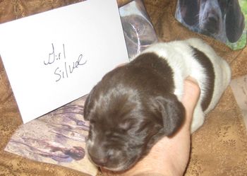 6 days old
