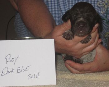 3 weeks old

