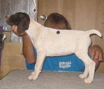 8 weeks old
