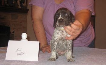 4 weeks old
