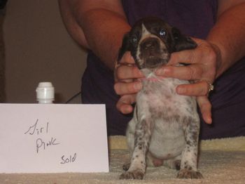 4 weeks old
