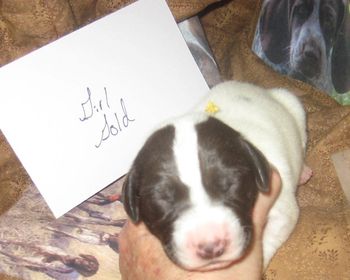 6 days old

