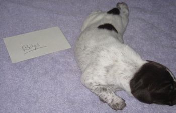 10 days old
