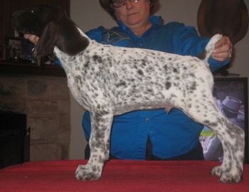 10 weeks old
