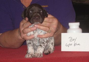 3 weeks old
