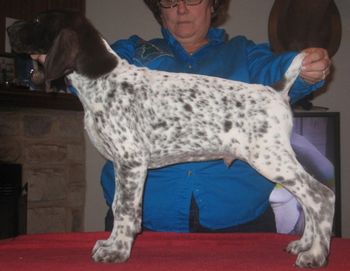 10 weeks old
