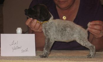 4 weeks old
