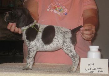 Green Girl Sold to Rae
