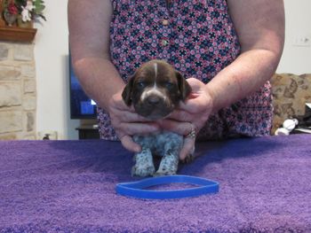 3 weeks old
