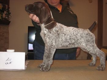 8 weeks old
