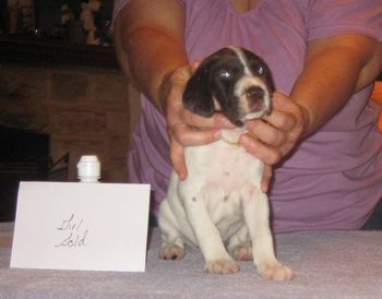 4 weeks old
