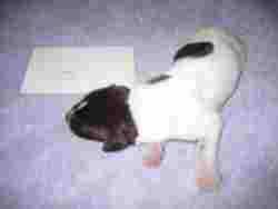 3 days old
