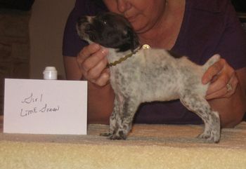 4 weeks old
