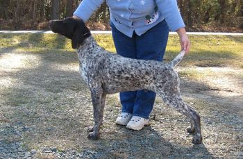6 months old
