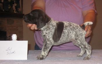 4 weeks old
