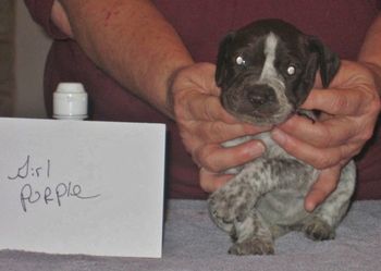 3 weeks old

