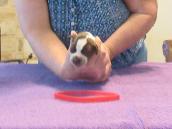 1 week old
