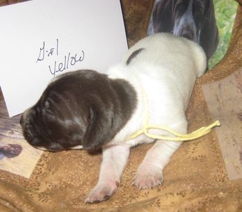 6 days old
